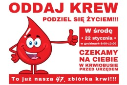 Akcja krwiodawcza w Urzędzie Marszałkowskim Województwa Dolnośląskiego - 22.01.2025 r. - zdjęcie 0 Podziel się krwią 22_01_2025